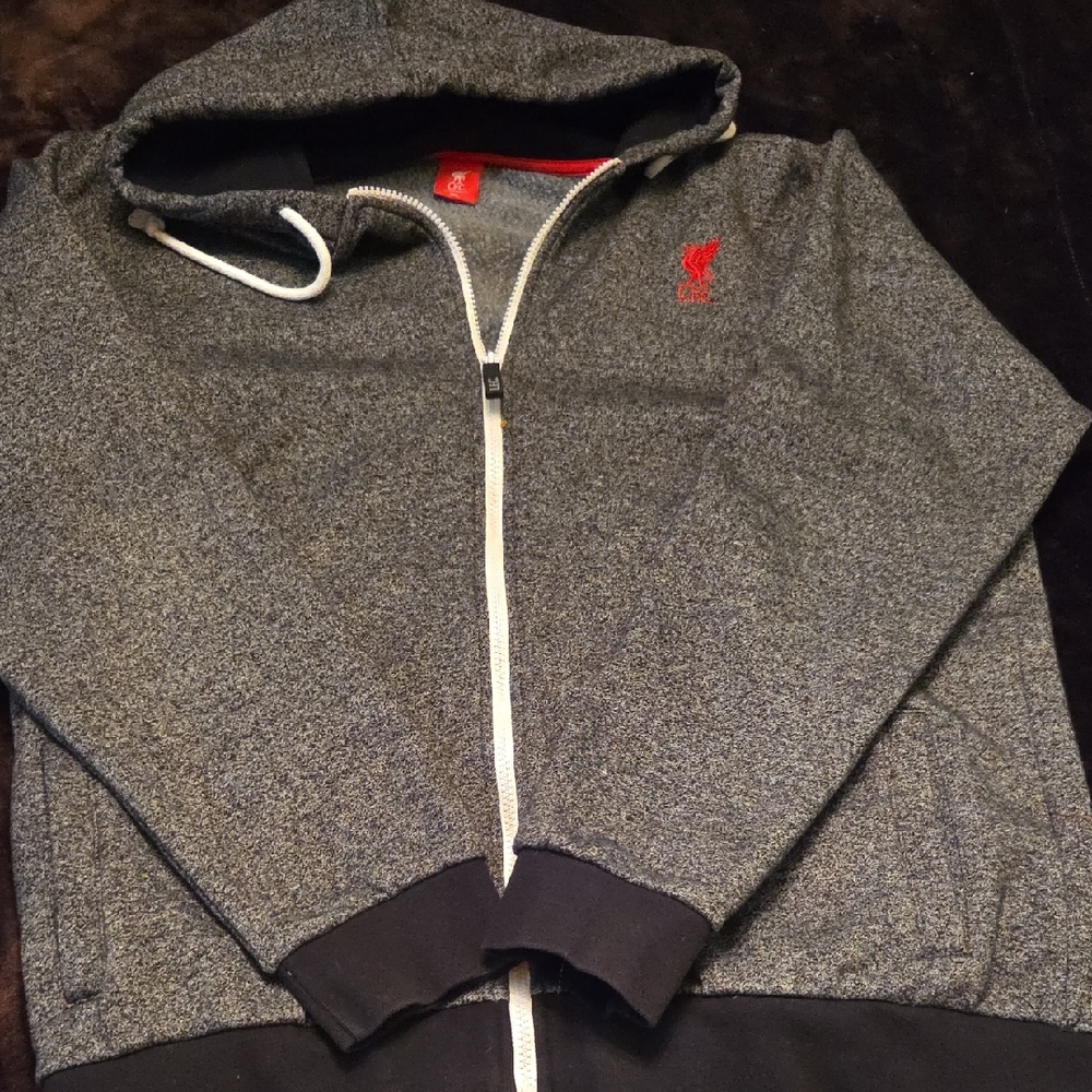 Gray Zip-Up Hoodie with Red Logo